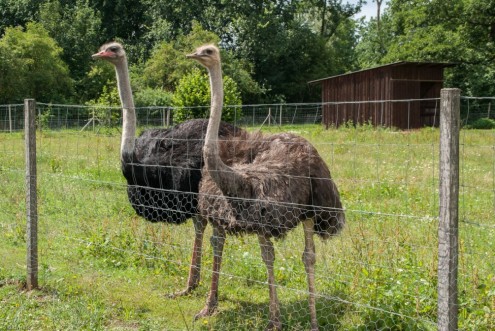 20150627_EH_A230_01965_2