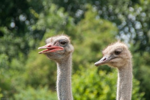 20150627_EH_A230_01969_2