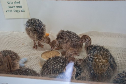 20150627_EH_A230_01976_2