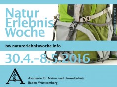 NET_Anzeige2016_80x60_cmyk-rgb.indd