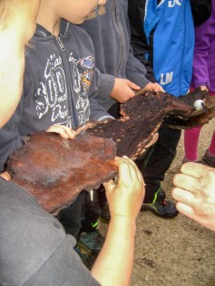 20160612_EH_CAG12_4682