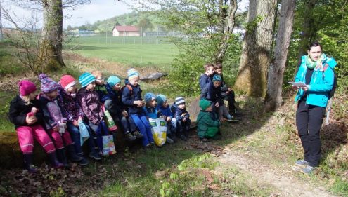 170423-sav_waldkunstwerke-23