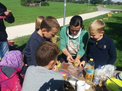 famaktion-20170917-wa0024