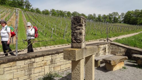 20240501_EH_HX9V_06025