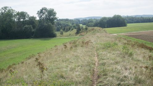 20240905_EH_ILCE6_08374